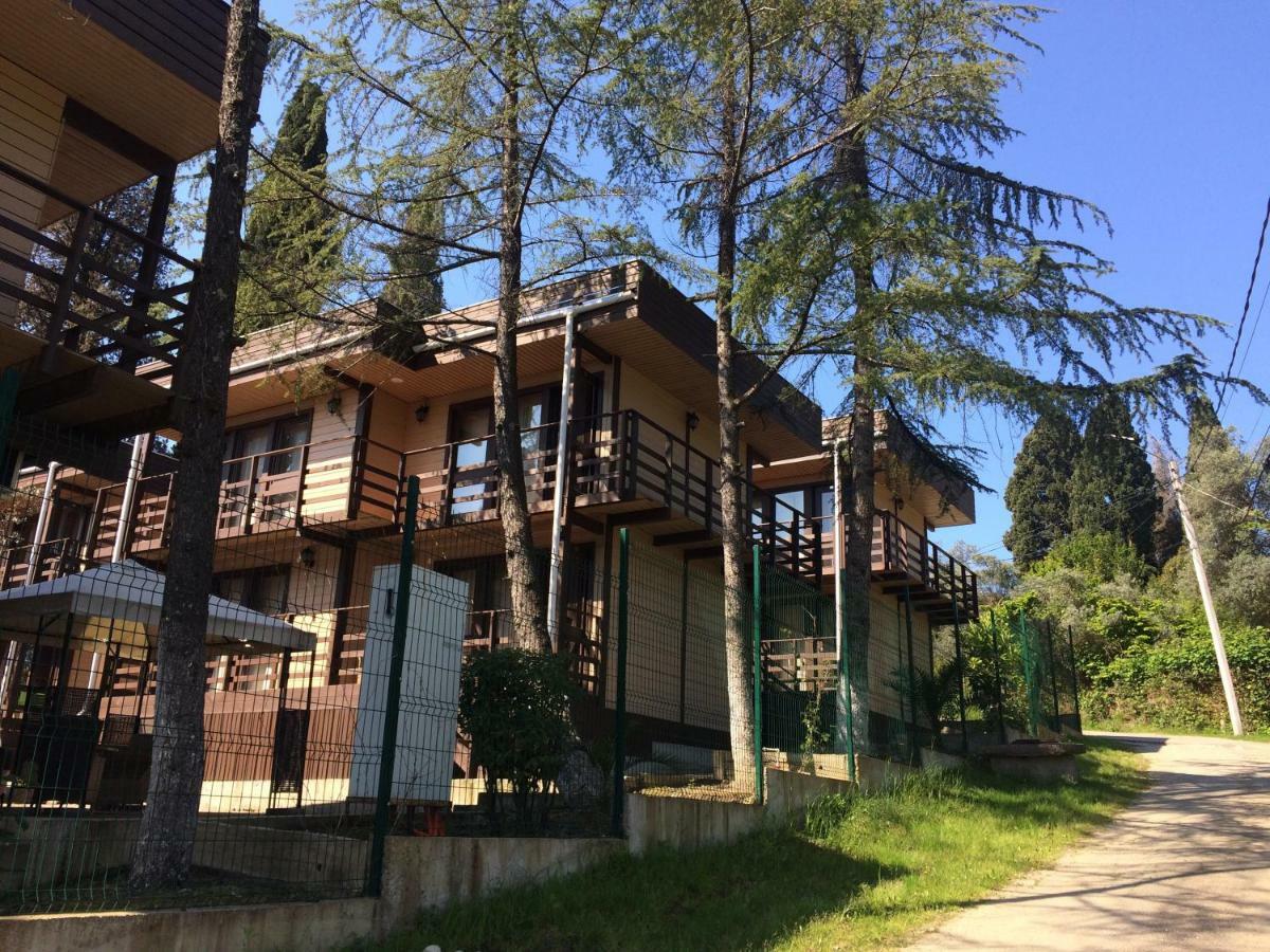 Hotel Eco Village New Athos 外观 照片