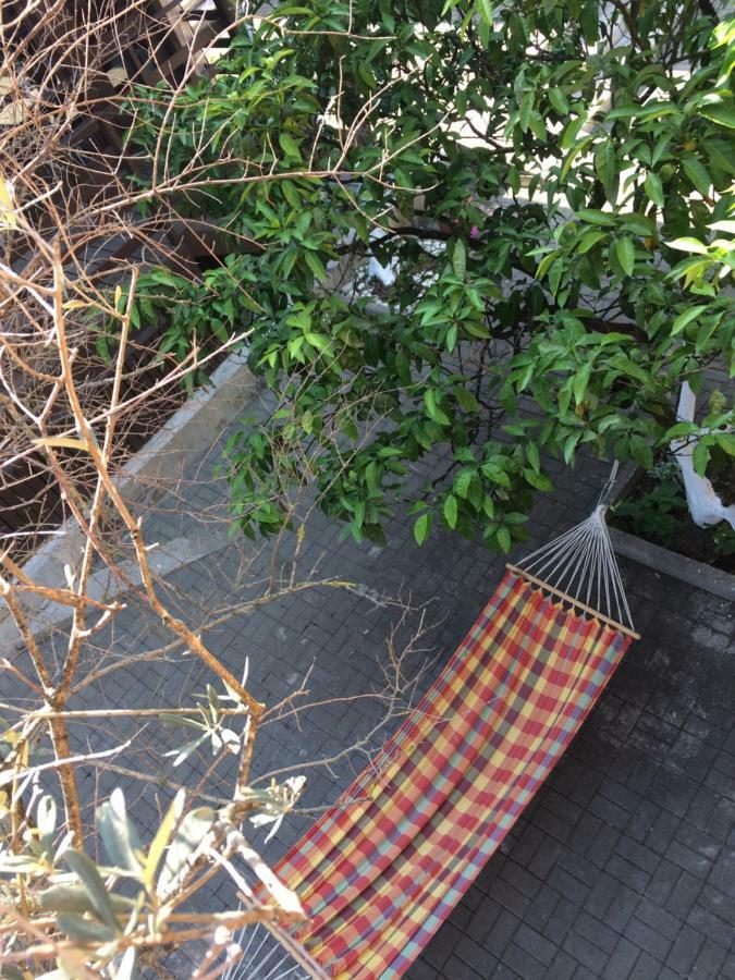 Hotel Eco Village New Athos 外观 照片